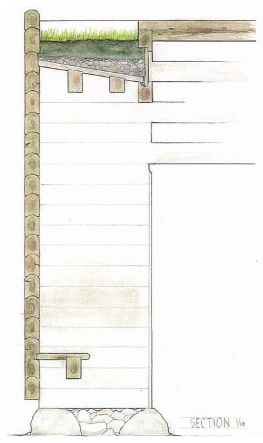 Pencil and coloured section drawing through the log wall, showing the planted roof build-up