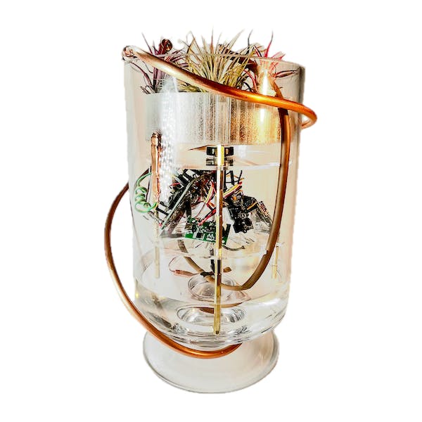 Air plant sanctuary in a glass hurricane vase with copper tubing and tiered planting