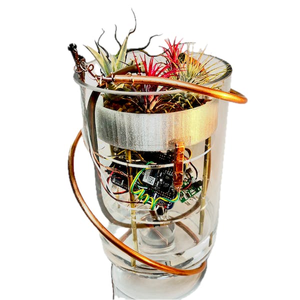 Air plant sanctuary seen from another angle, plants tiered above the electronics